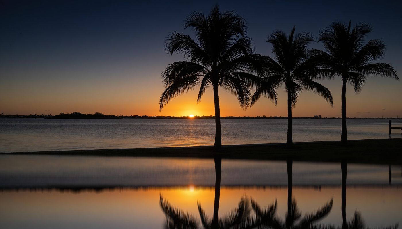 Royal palms in silhouette over calm water at sunrise in South Florida
